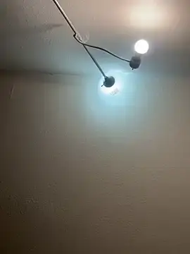 Dnasty408