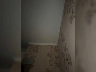 SssDARYASss