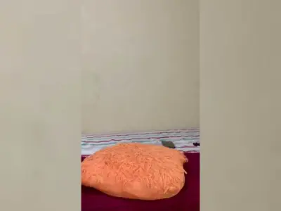 Zuludoll