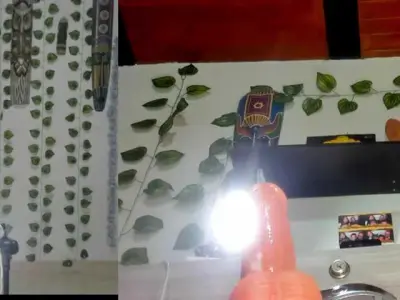 bellafunny1