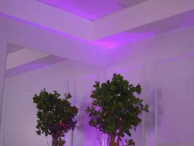 ExoticTala