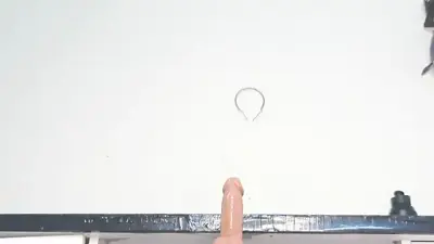 ElegantMiss
